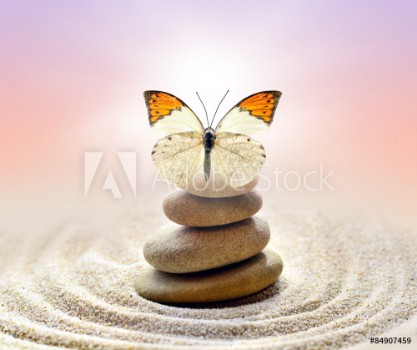 Picture of Butterfly and stones balance